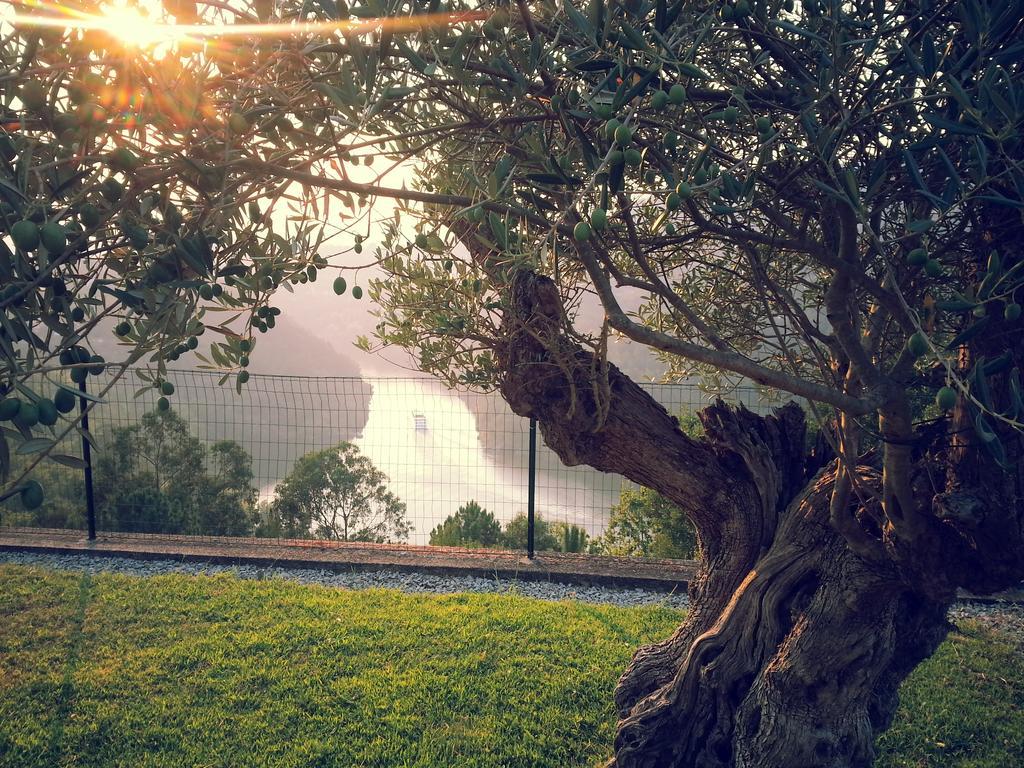 Quinta Das Tilias Douro Valley Cabaca Bagian luar foto
